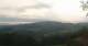 Zierling 03.07.2025 06:29