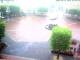 Westerstede 09.06.2025 06:29