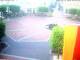 Westerstede 14.06.2025 06:29