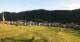 Aprica 08.07.2025 06:29