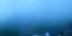 Braunwald 03.07.2025 06:25