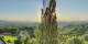 Kitzeck im Sausal 30.04.2025 06:31