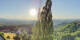 Kitzeck im Sausal 01.07.2025 06:30