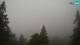 Kranjska Gora 09.06.2025 06:30