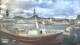 Vestmannaeyjar 09.06.2025 06:31