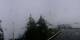 Rickenbach 08.07.2025 06:28