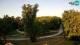Zagreb 02.07.2025 06:31