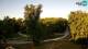 Zagreb 02.07.2025 06:31