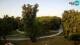 Zagreb 05.07.2025 06:31