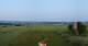 Schallodenbach 09.06.2025 06:31