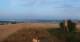 Schallodenbach 15.07.2025 06:34