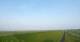 Westerhever 15.06.2025 06:31
