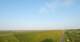 Westerhever 01.07.2025 06:31