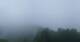 Leibnitz 09.06.2025 06:32