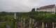 Herrnchiemsee 08.06.2025 06:30