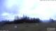 Burnt Pine (Norfolk Island) 12.06.2025 06:32