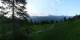 Luchsingen 15.06.2025 06:31