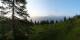 Luchsingen 09.06.2025 06:31