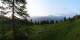 Luchsingen 09.06.2025 06:31