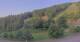 Hirschegg 05.07.2025 06:33