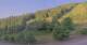 Hirschegg 15.06.2025 06:33