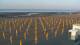 Grado 30.04.2025 06:33