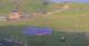 Kuzun 09.07.2025 06:33