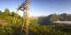 Maloja 15.06.2025 06:36