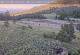 Lake George, Colorado 01.07.2025 06:38