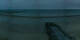 Coudeville-sur-Mer 30.04.2025 06:13