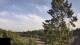Lauchhammer 17.07.2025 06:35