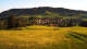 Weitnau 20.06.2026 06:35
