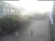 Radolfzell am Bodensee 09.07.2025 06:49