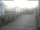Radolfzell am Bodensee 17.04.2025 06:49