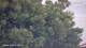 Nigran 14.06.2025 06:50