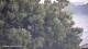 Nigran 14.06.2025 06:50