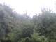 Herdecke 05.07.2025 06:50