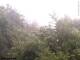 Herdecke 06.07.2025 06:50