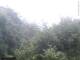 Herdecke 22.05.2025 06:50