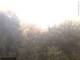 Herdecke 11.05.2025 06:50