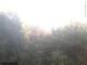 Herdecke 11.05.2025 06:50