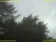 Nettetal 06.07.2025 06:50