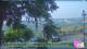 Roncofreddo 15.06.2025 06:51