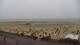 Borkum 09.06.2025 06:45