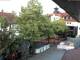 Rimbach 09.06.2025 06:45