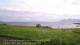 Laukvik 15.06.2025 06:52