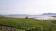 Laukvik 04.06.2025 06:52