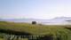 Laukvik 16.07.2025 06:56