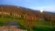 Nellysford, Virginia 30.04.2025 06:48