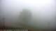 Nellysford, Virginia 17.04.2025 06:48